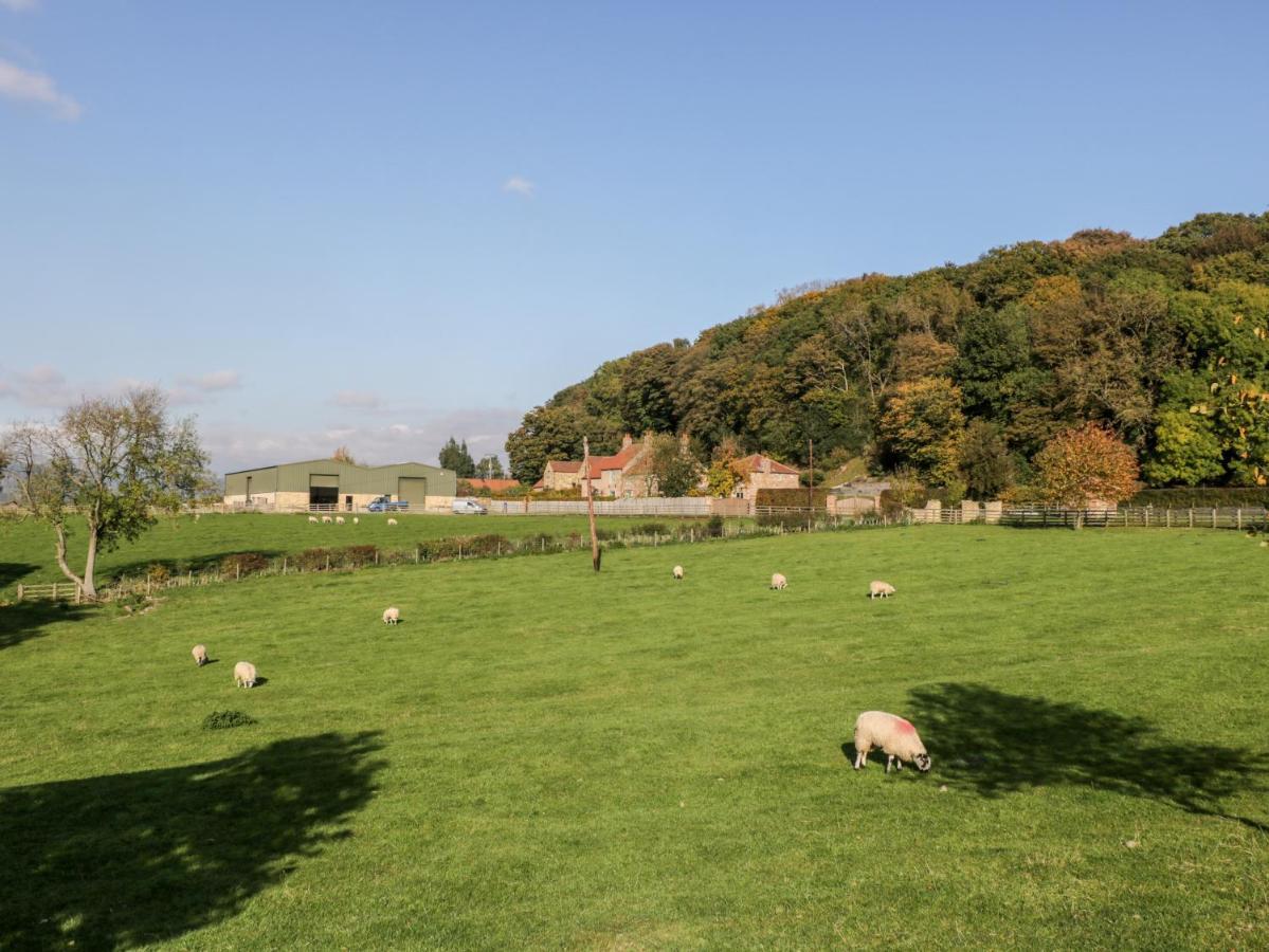 Woodside Barn Villa Thirsk Exteriör bild